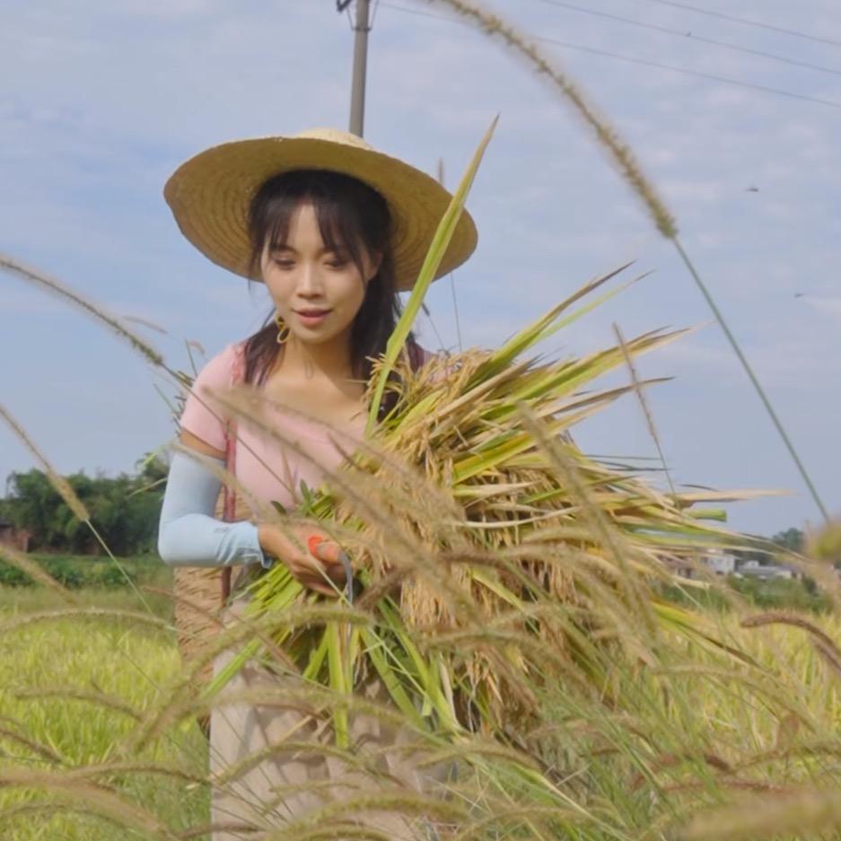 杨阿梅