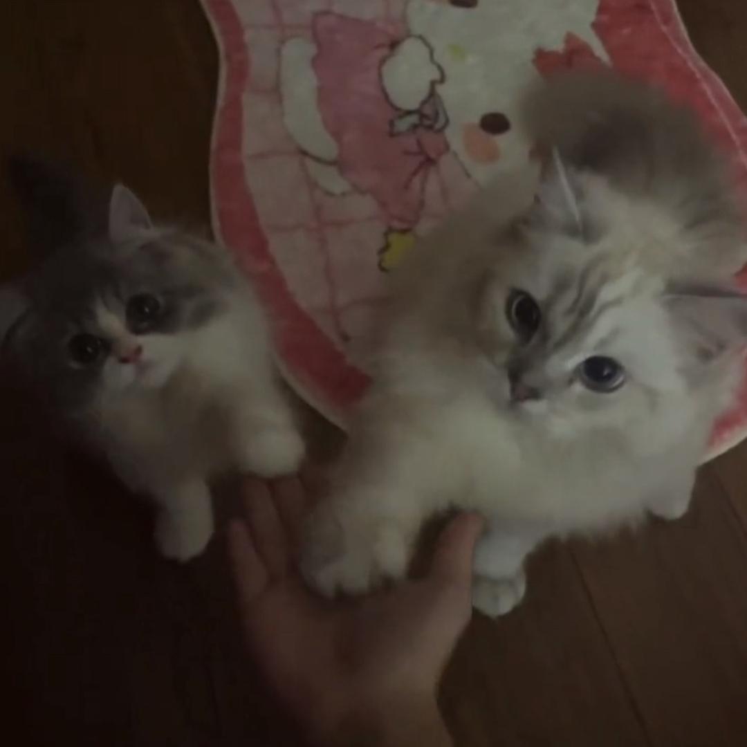 觉觉^_^