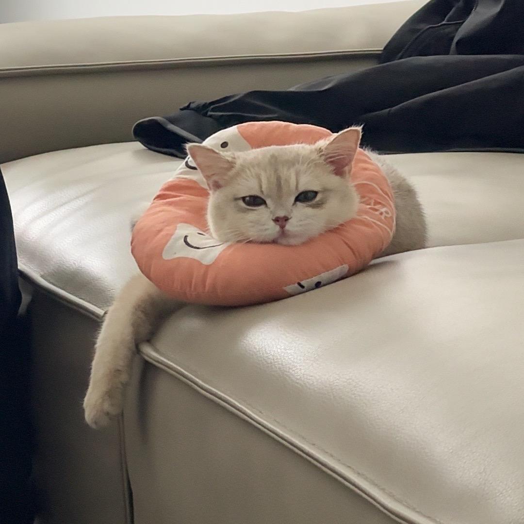 骑着蜗牛去看海