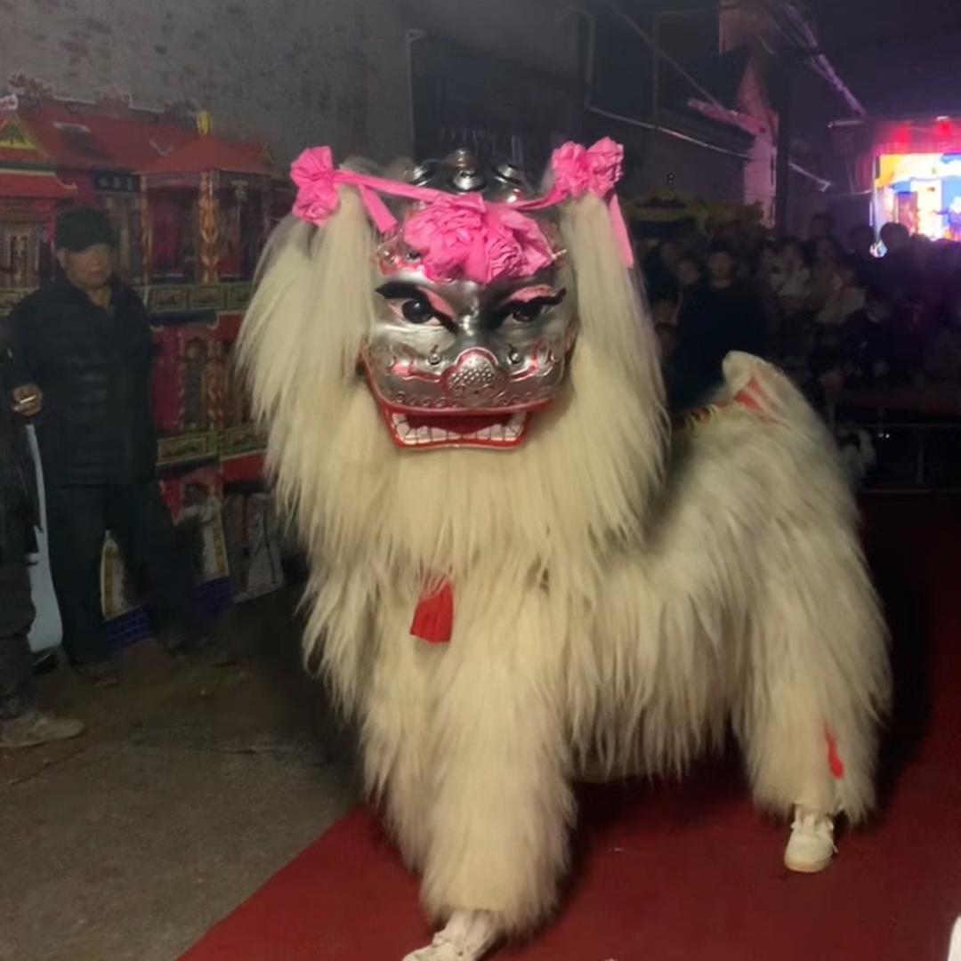 梁山醉美小白狮 广翰🇨🇳