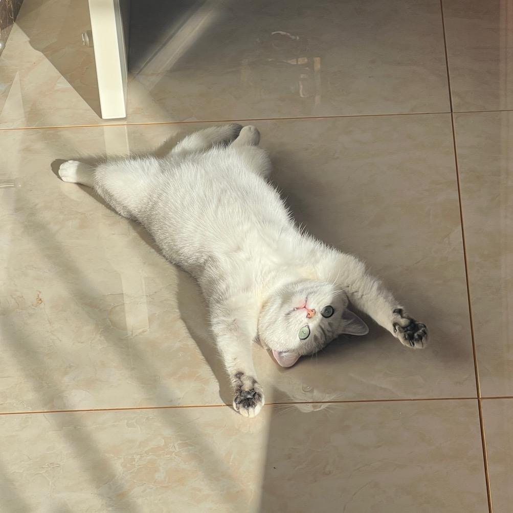 因为我叫不高兴