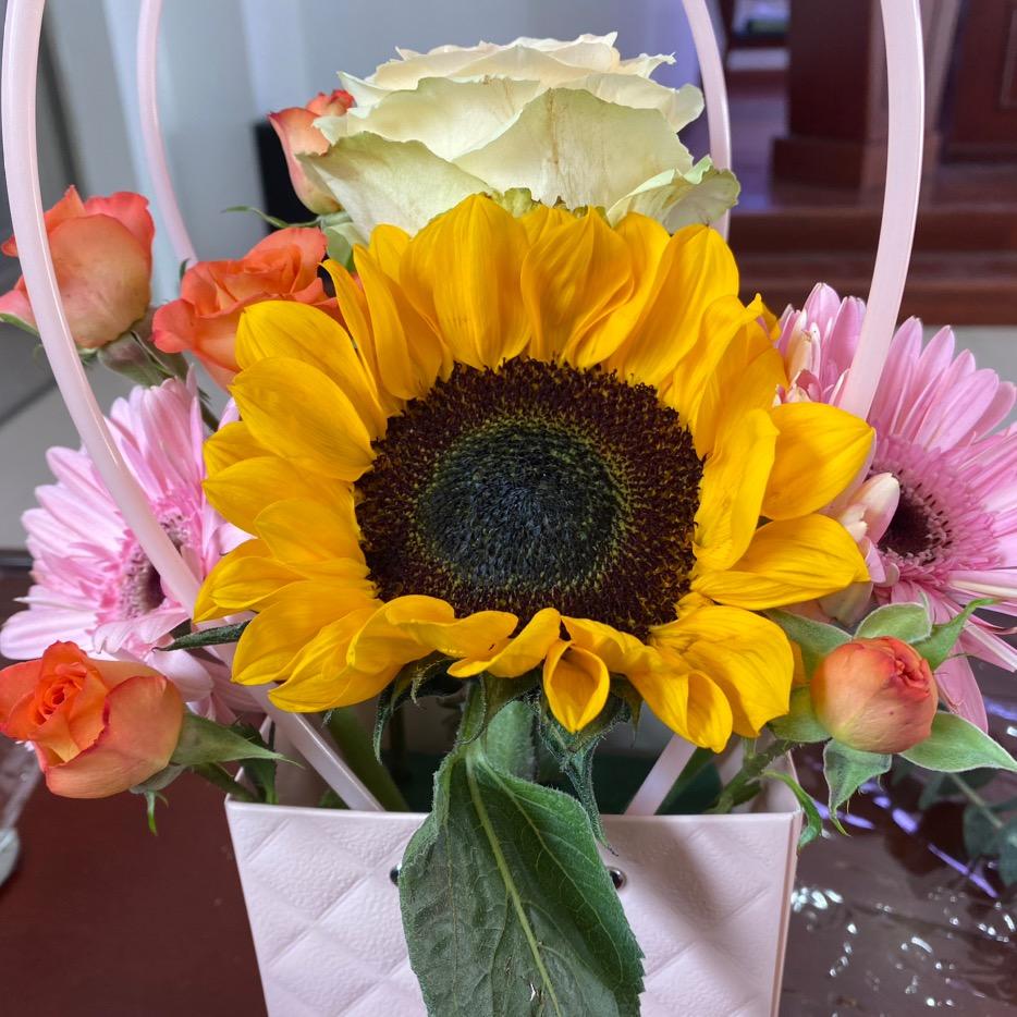 用户4207021400284琴