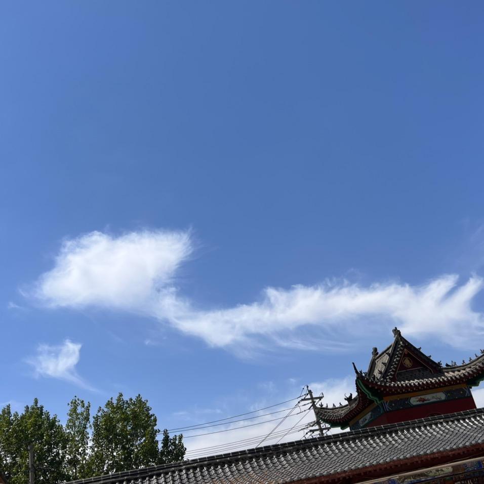 老珊