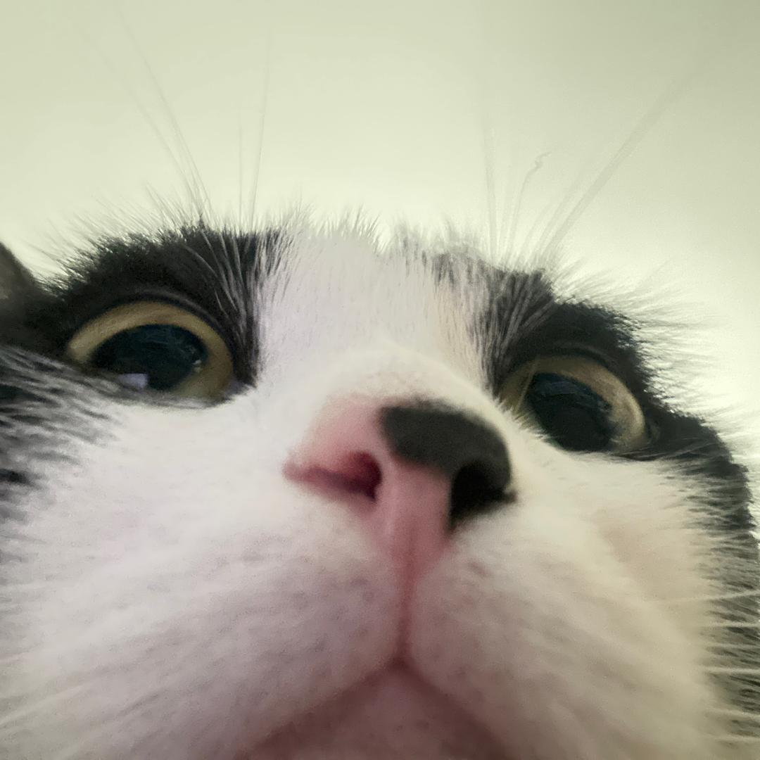 krrr