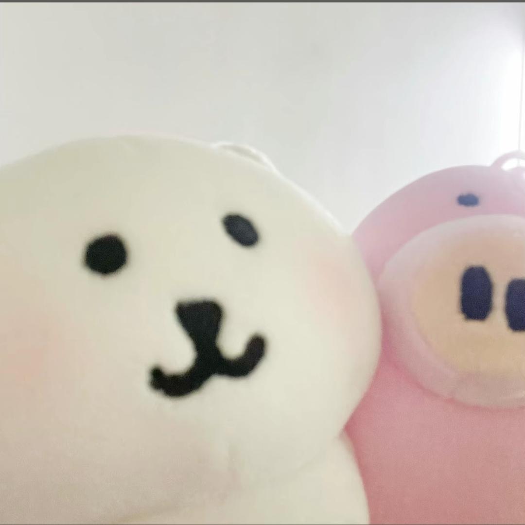 美🐑🐑