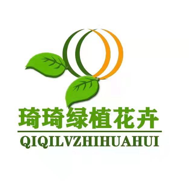 琦琦绿植花卉