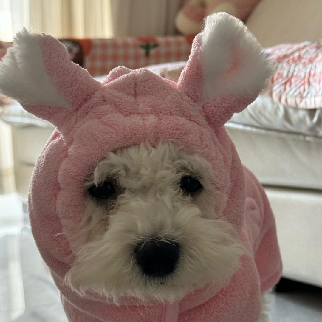 🧣.包子女士