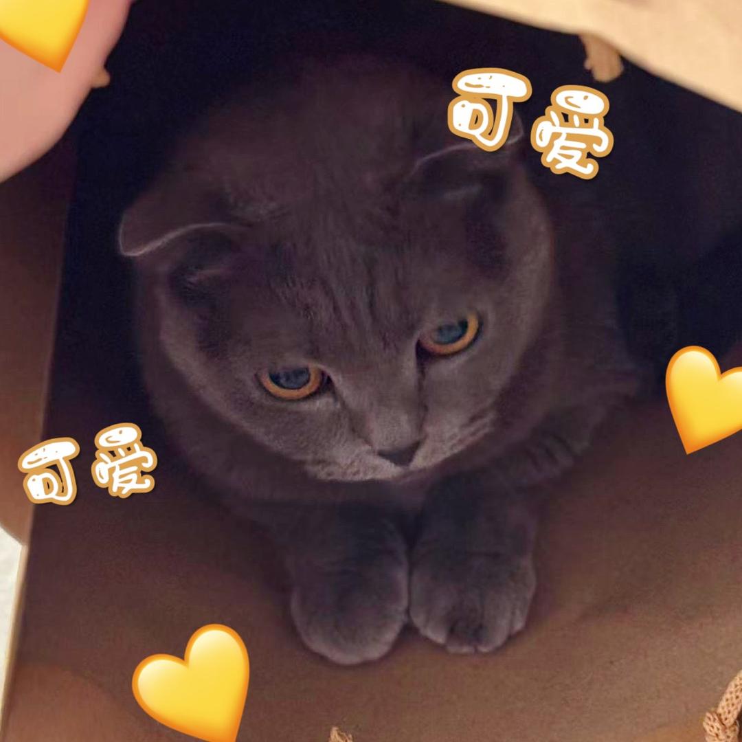 二灰不太圆○