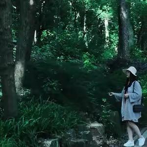 请叫我橘子姐姐