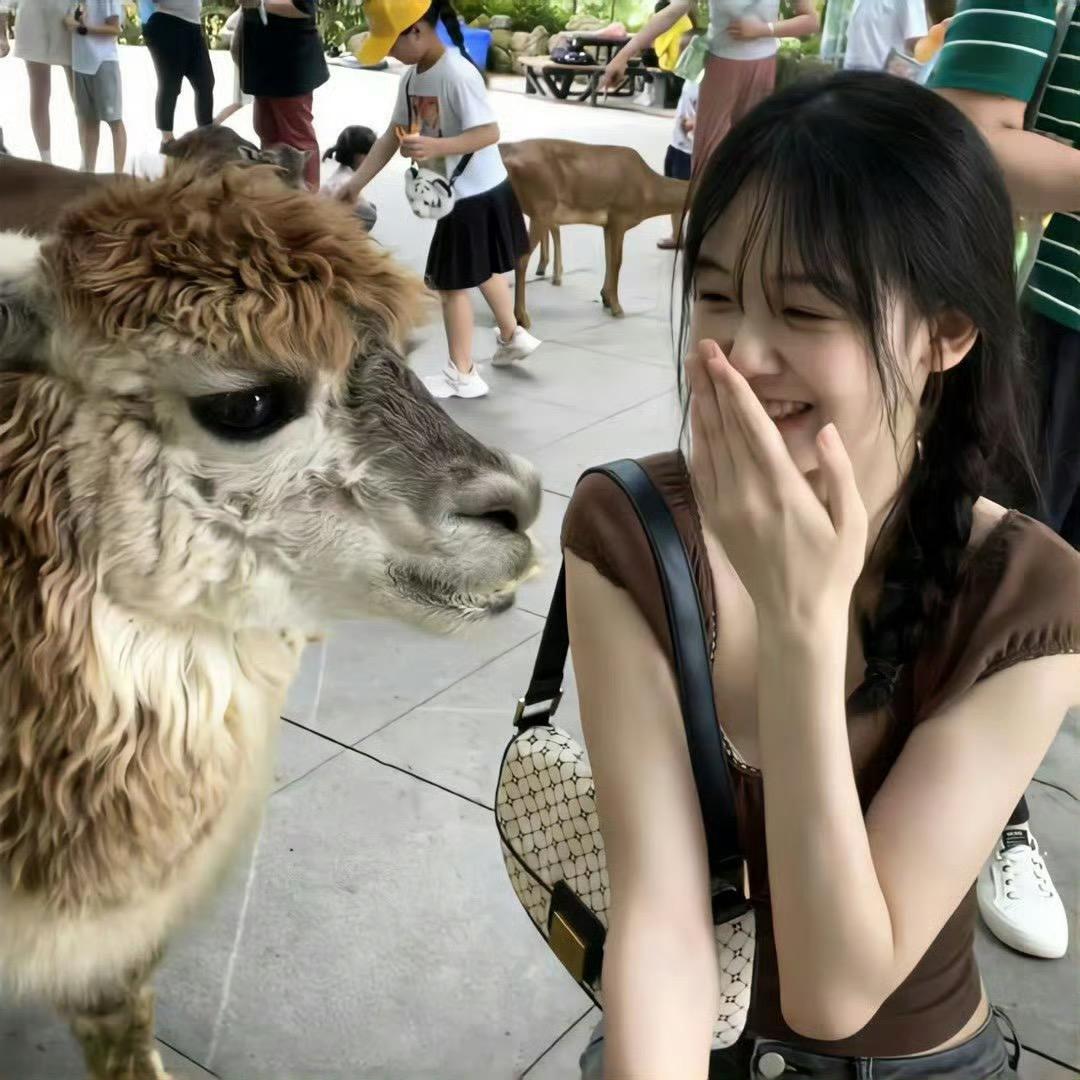 知语