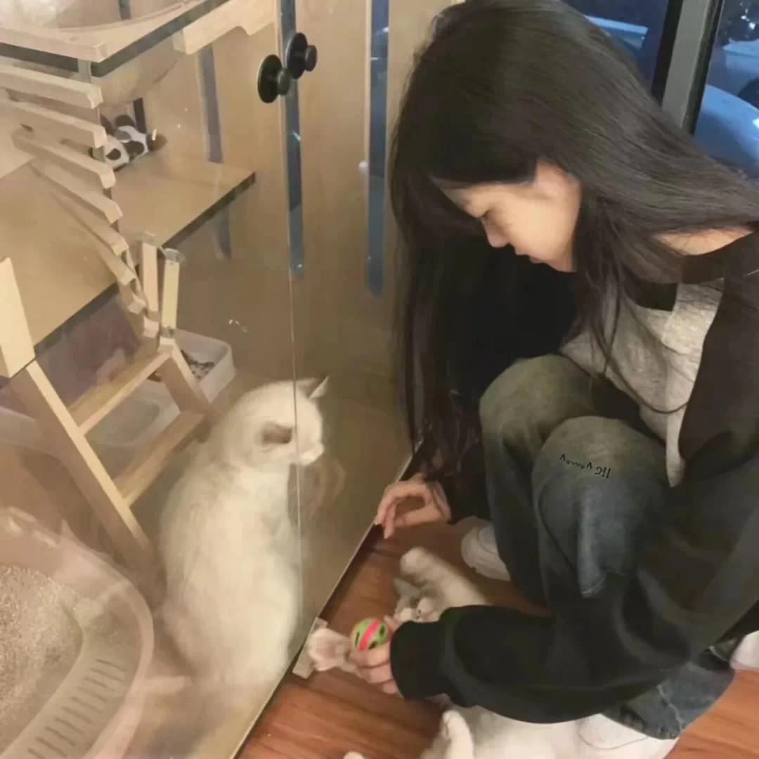 三分茉莉