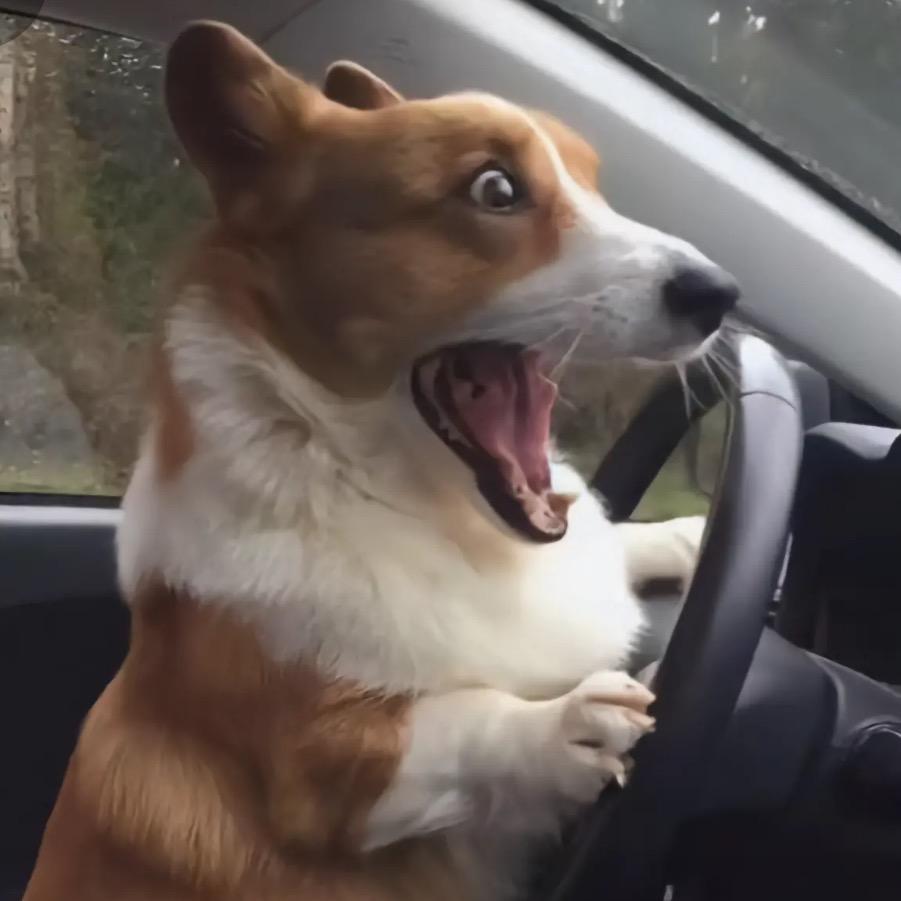 你