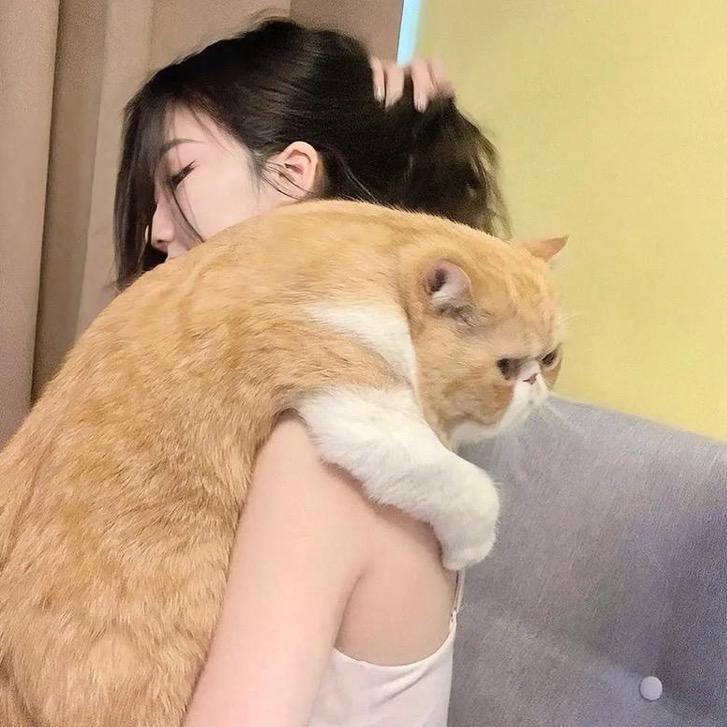 宝儿姐好物