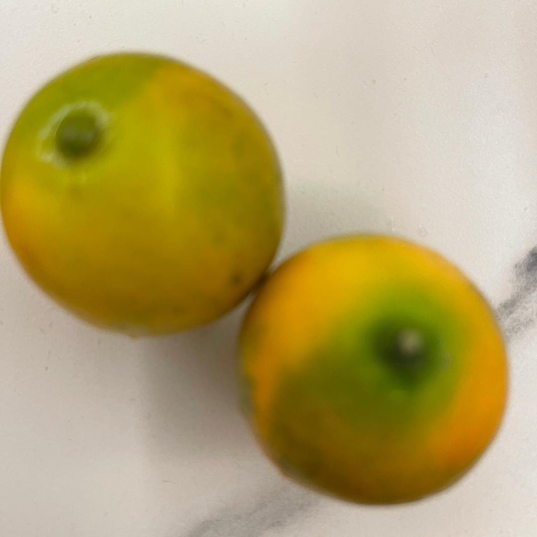 王者风范