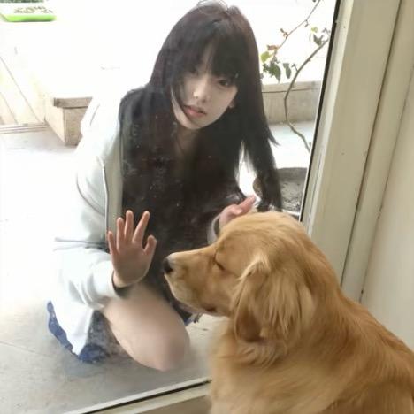长眠晚安.