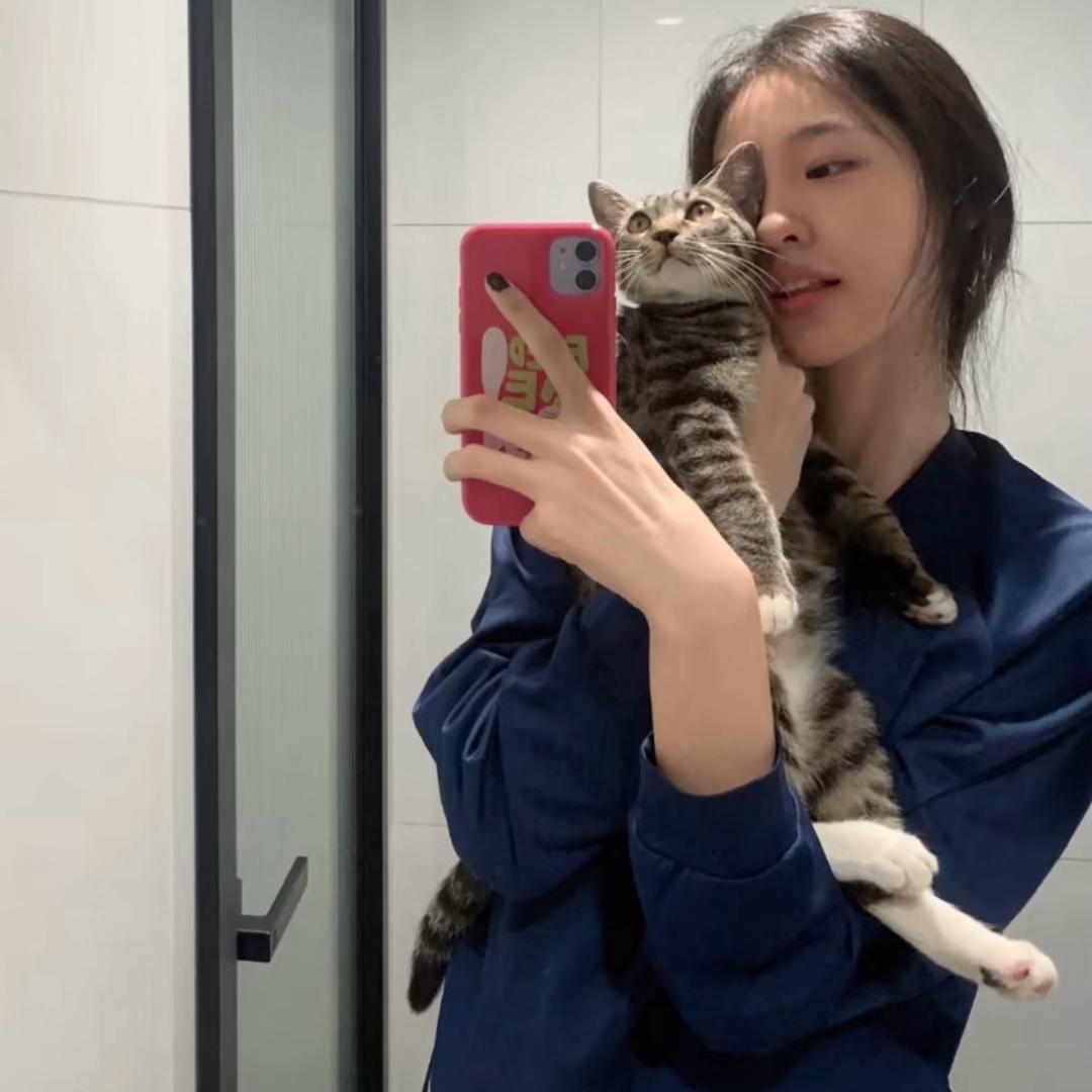 ㅤㅤㅤㅤㅤㅤ       ㅤㅤㅤ❄️