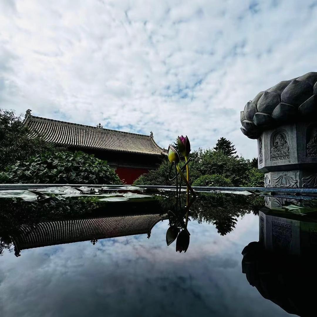 努力的周先生🇨🇳