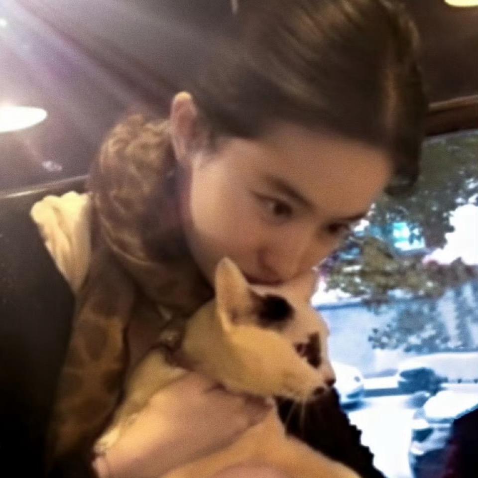 迷人的巧克力面包