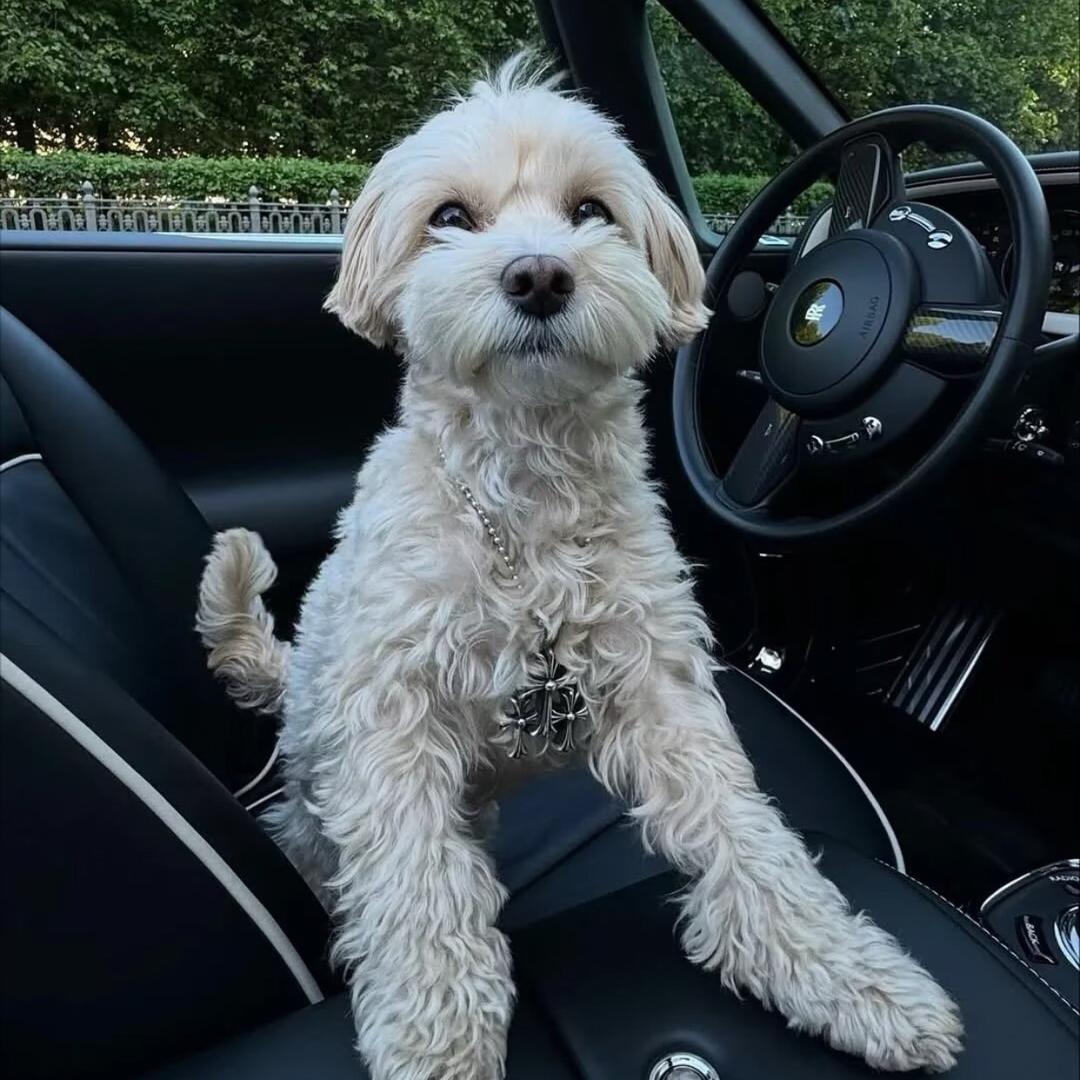 927