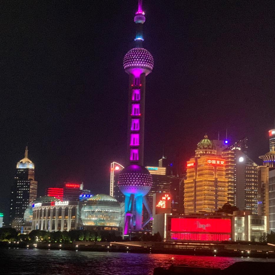 琴