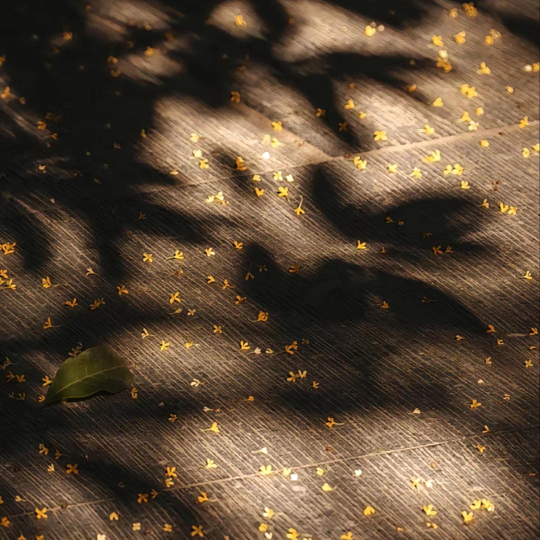 小酒窝*