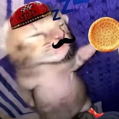 1193712516