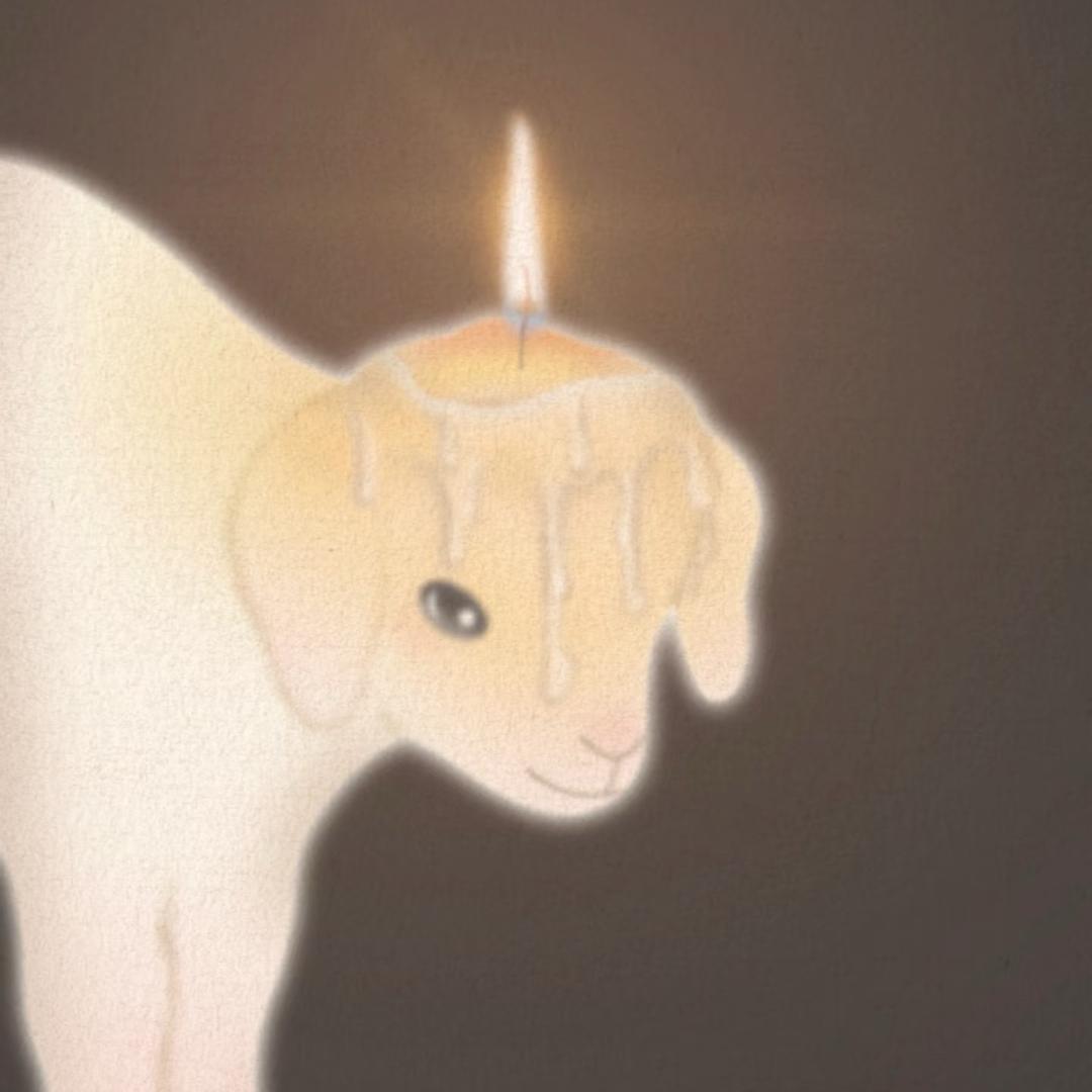 我想吃掉我自己