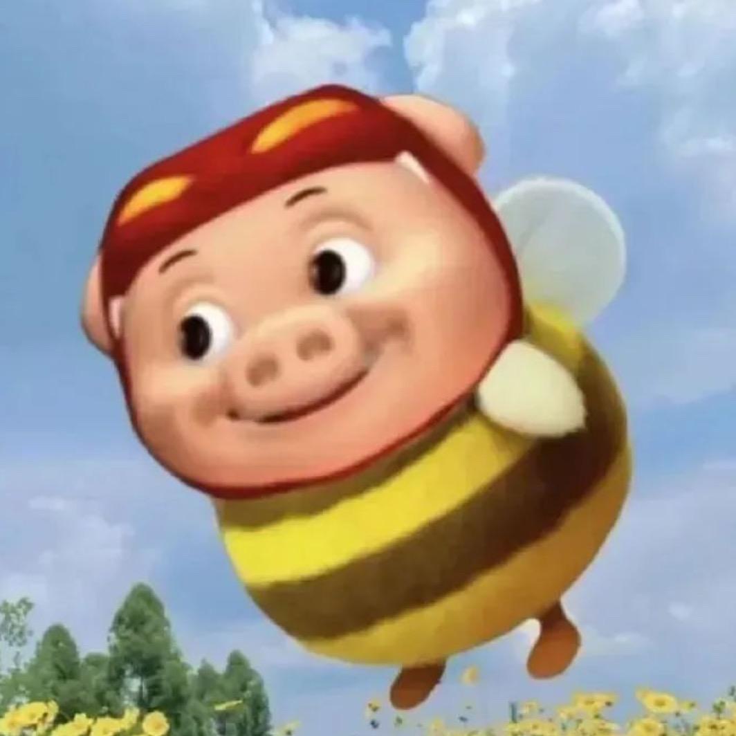 🐽