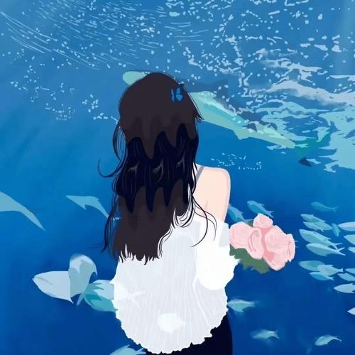 阳光下的向日葵🌻