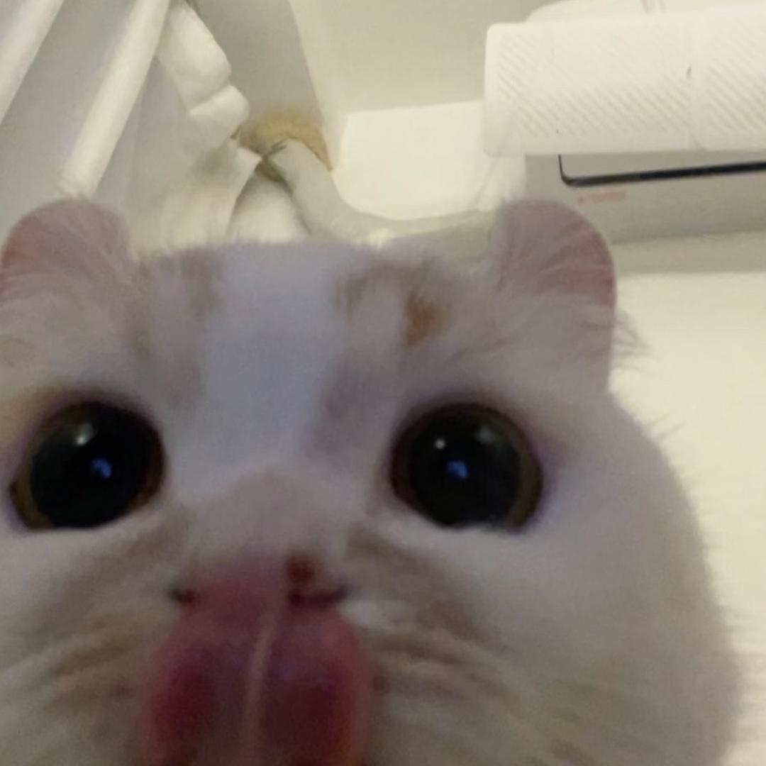 超多袁.