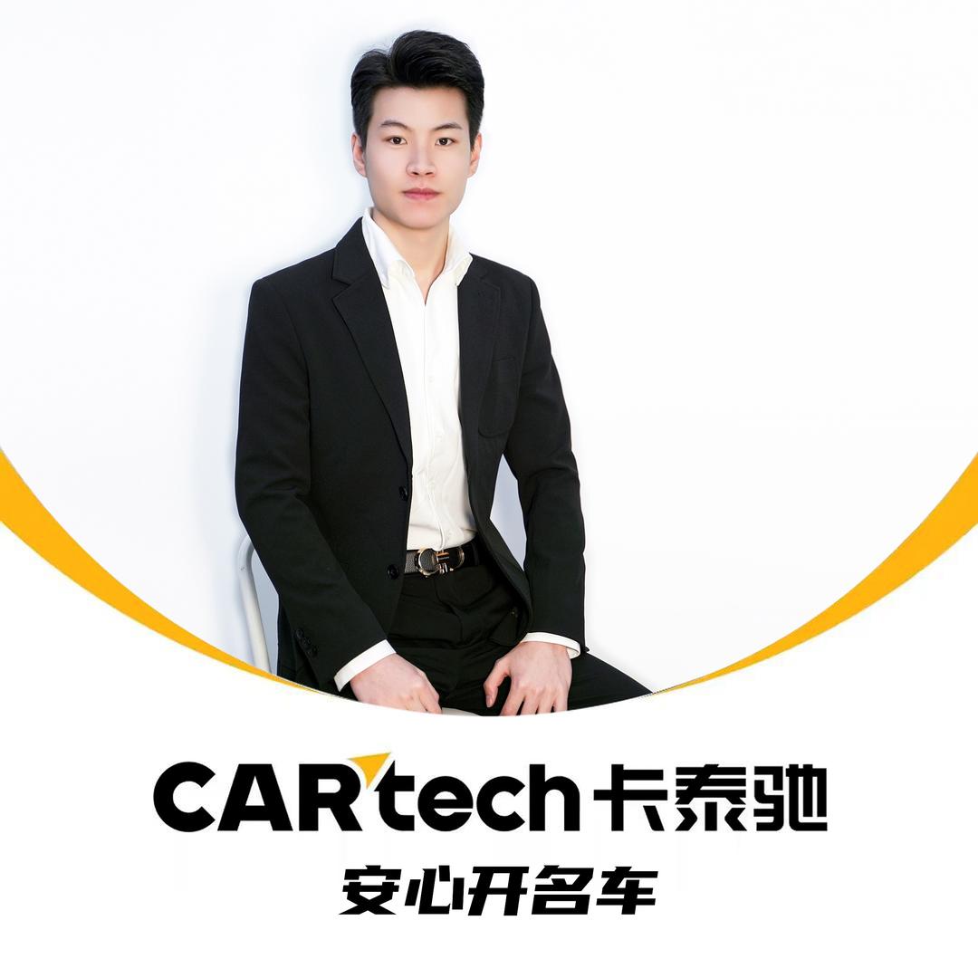 🇨🇳安徽卡泰驰 大卫