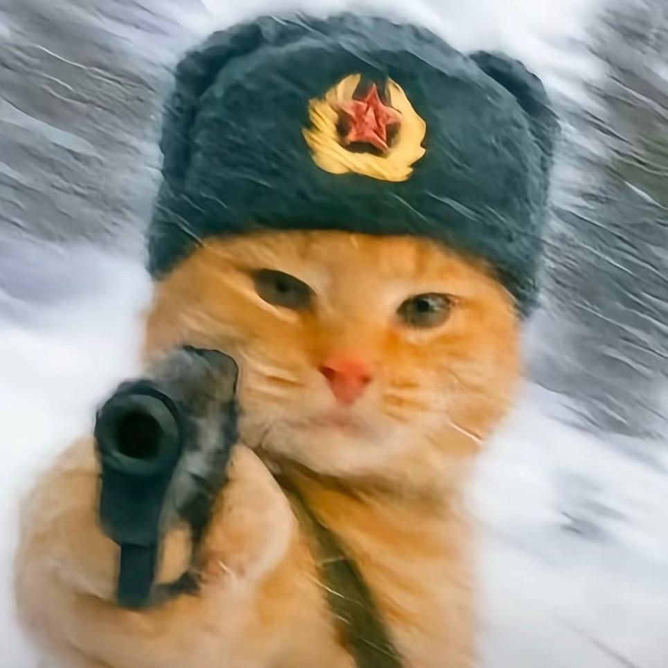 云南古天乐♈（紫色严选收藏）