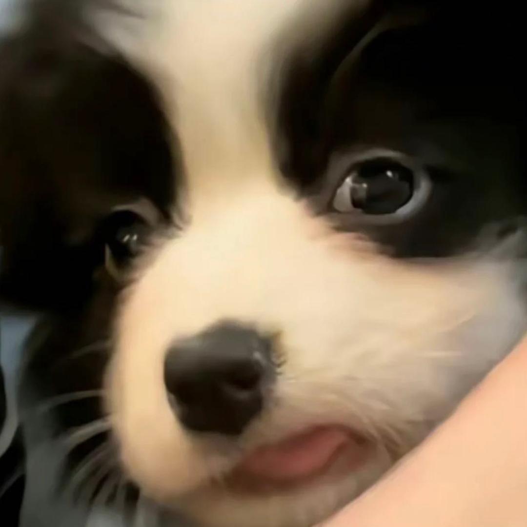 净心。