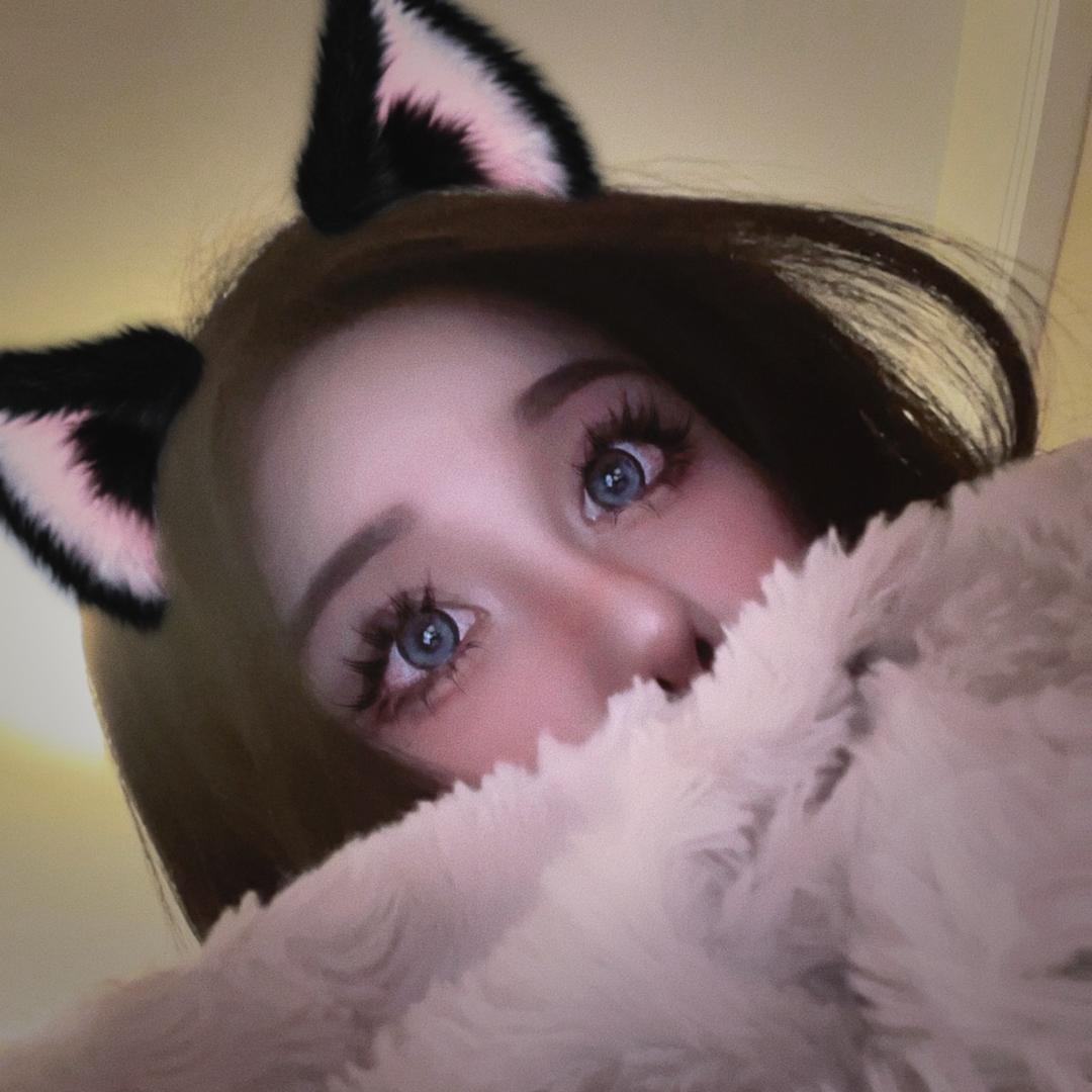 𝐊𝐢𝐭𝐭𝐲ᜊ º˖