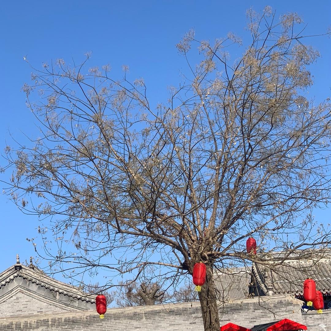 贾晓航-