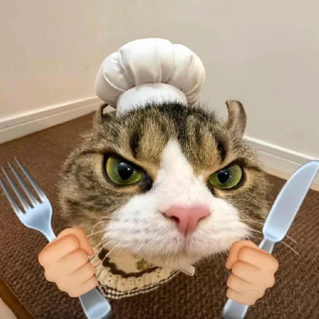 小猫拿铁