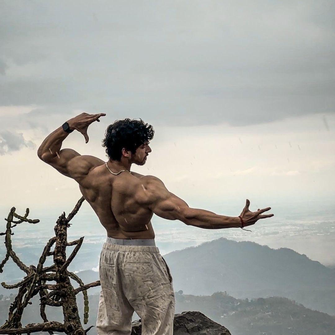 烈性健身氮泵、