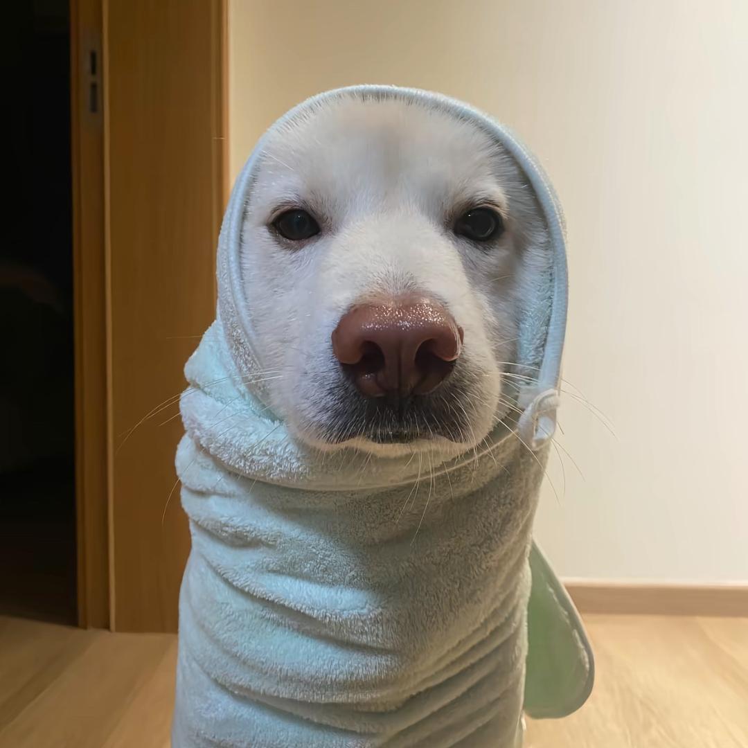 北北