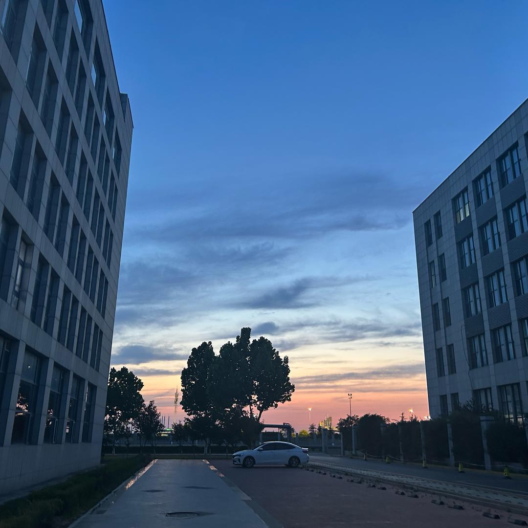 我想要两颗西柚