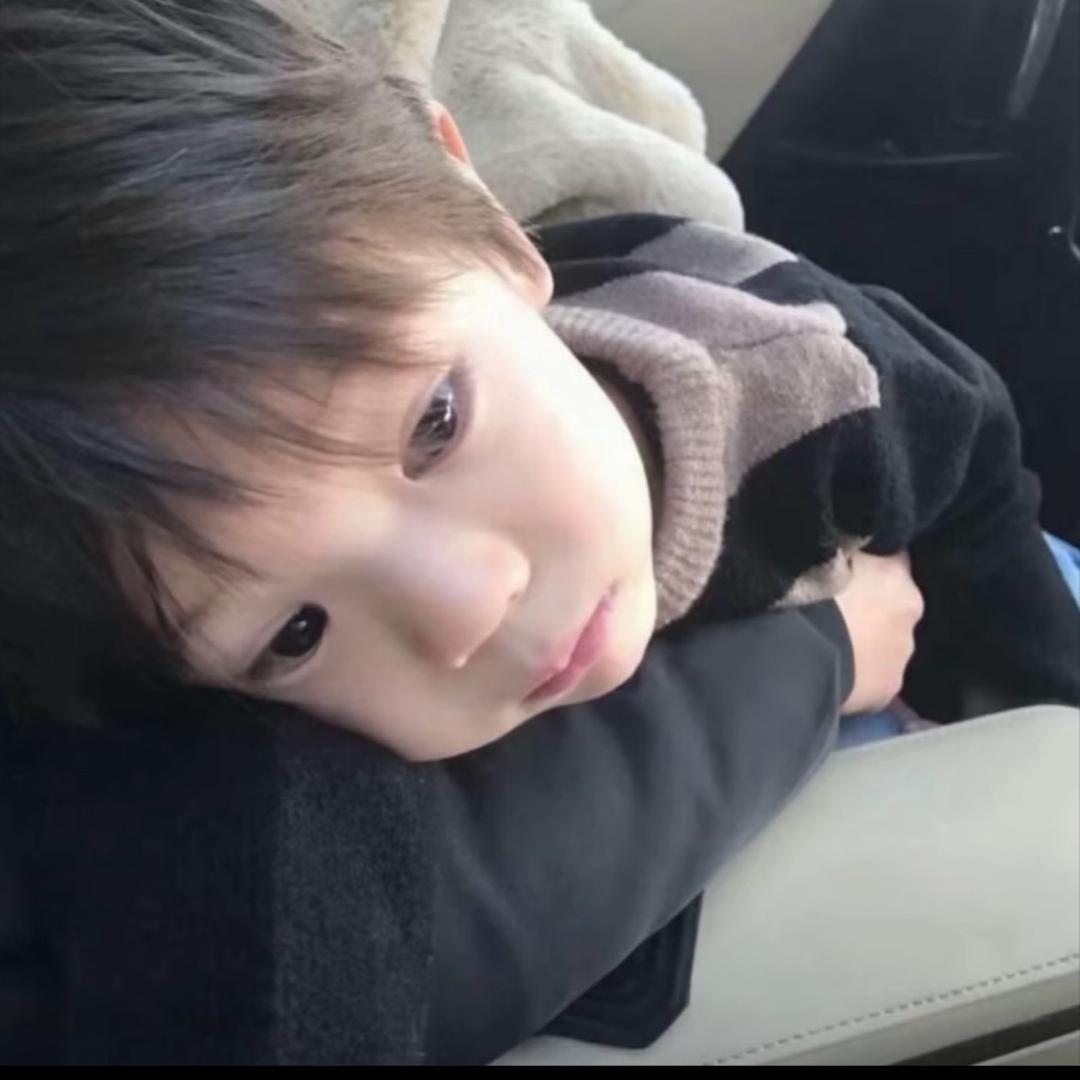 爱吃薯条💫
