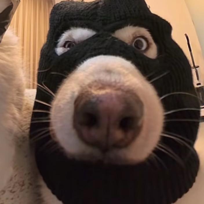 不要给我哇哇叫