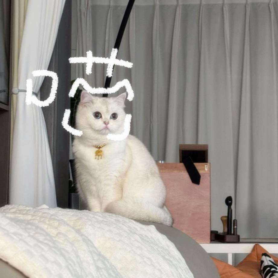 十三爱吃添加剂