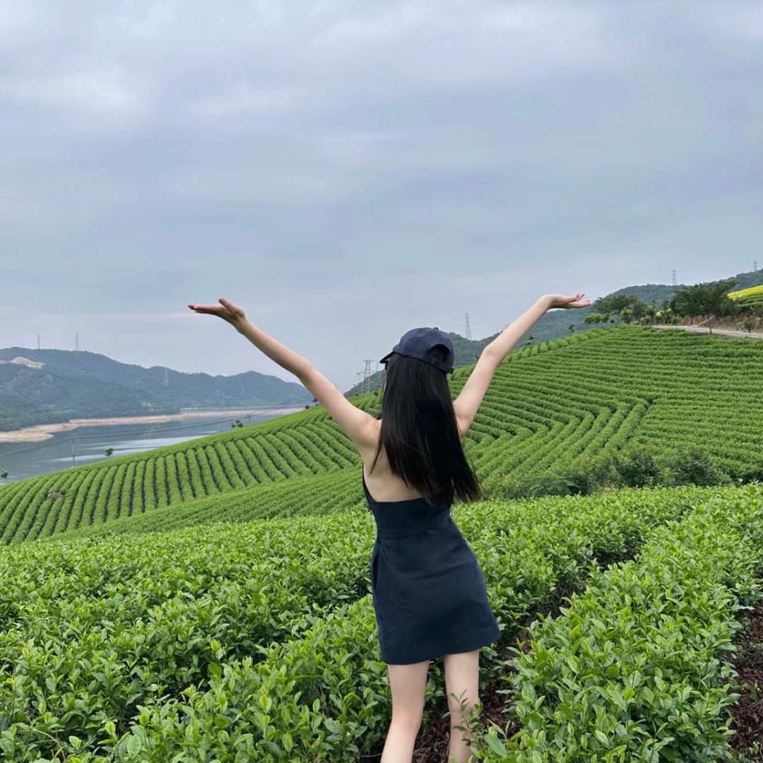 吴家茶妹