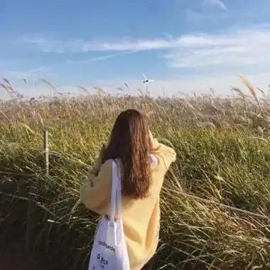 ঞ🌿半颗糖🍬