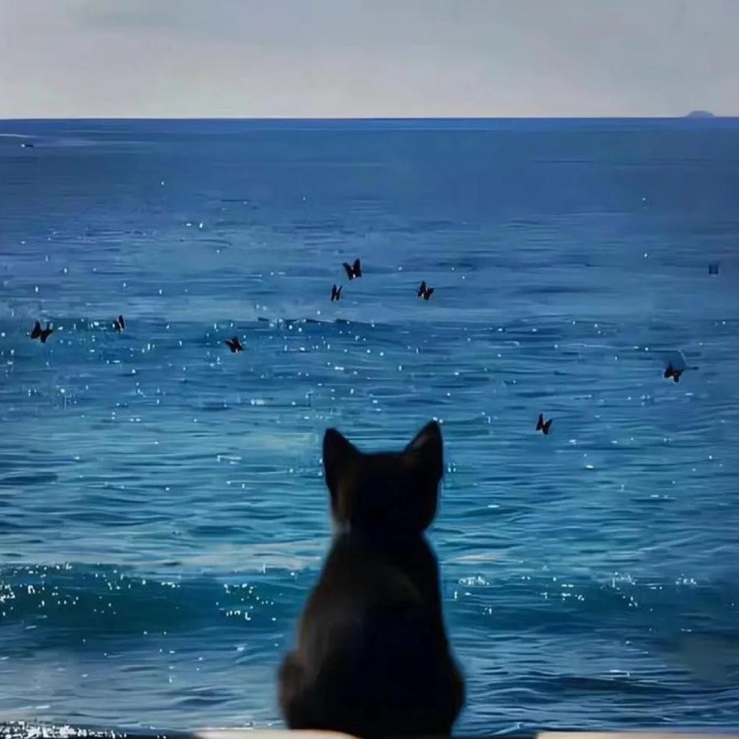 花开富贵⁺₊🔨