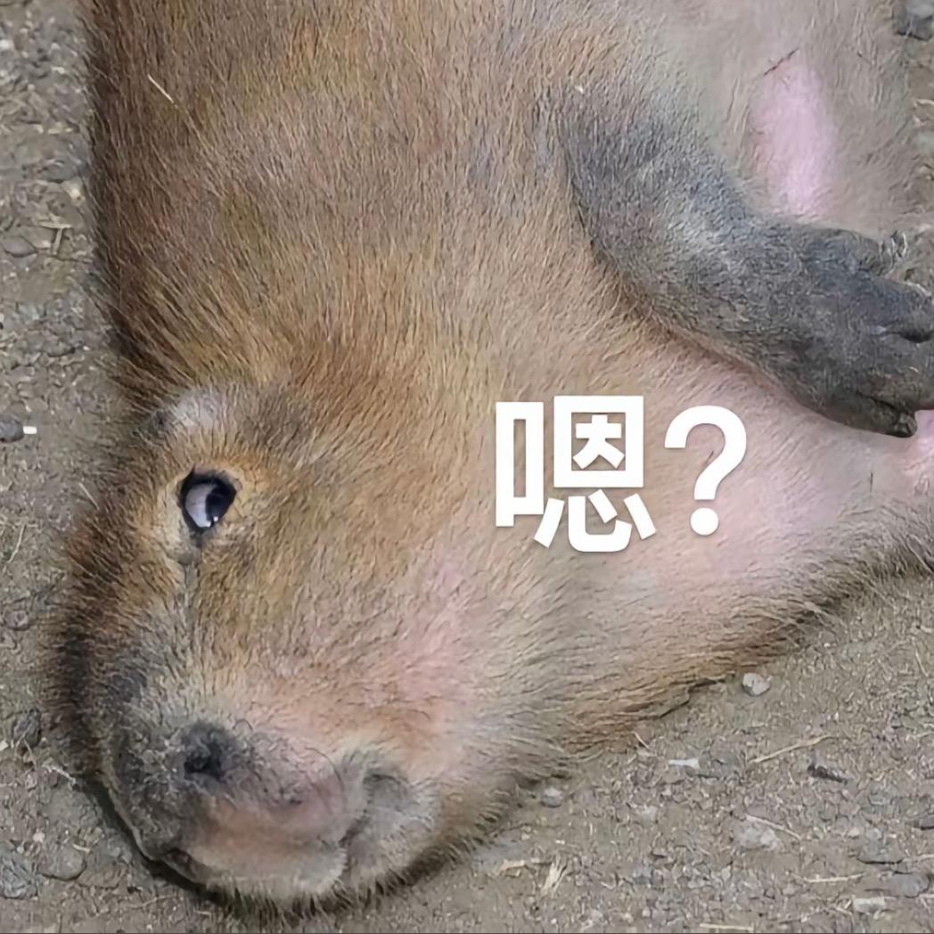 浩爱吃饭