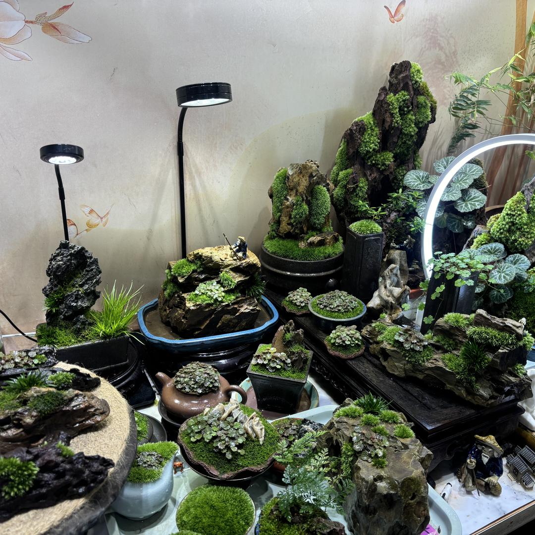 雅韵微景观