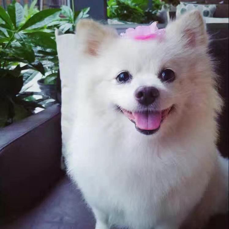 莎莎同学