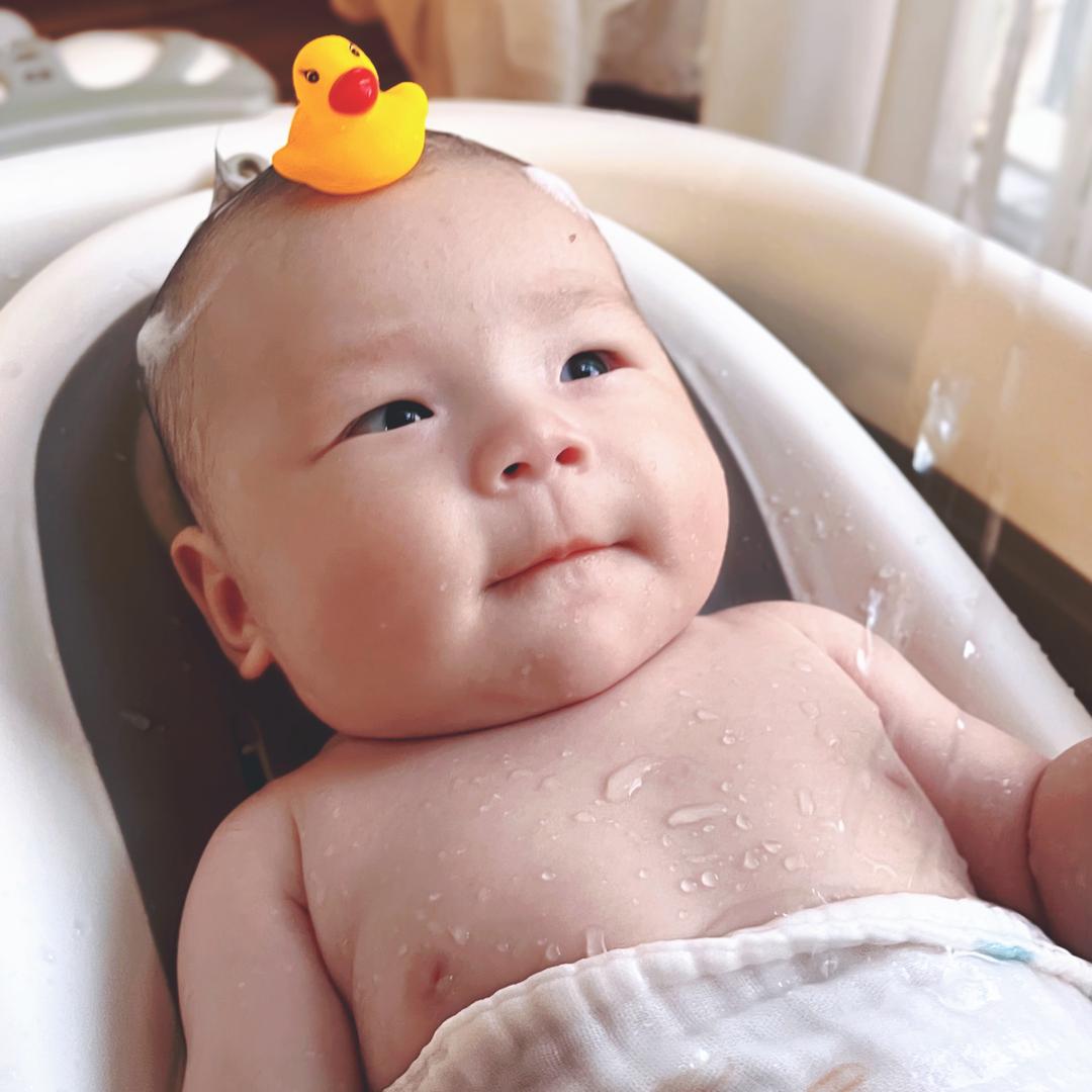 小葵