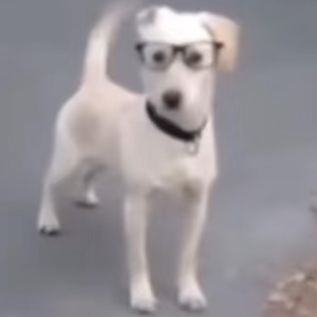 烤牛肠真的很香